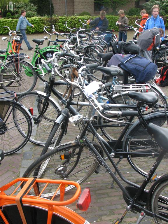 IMG_9823 (Large).jpg